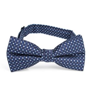 Motýlek pánský AMJ vzorovaný, modrý / kostičkovaný MP477