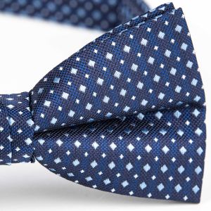 Motýlek pánský AMJ vzorovaný, modrý / kostičkovaný MP477