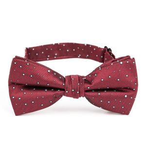 Motýlek pánský AMJ vzorovaný, vínový / puntíkovaný MP492