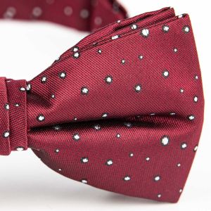 Motýlek pánský AMJ vzorovaný, vínový / puntíkovaný MP492