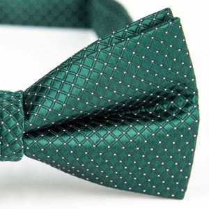 Motýlek pánský AMJ vzorovaný, zelený / károvaný MP496