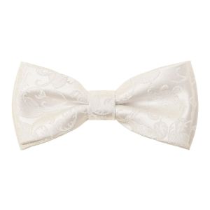 Pánský svatební motýlek s kapesníčkem Avantgard PREMIUM CEREMONI 575-18, smetanový