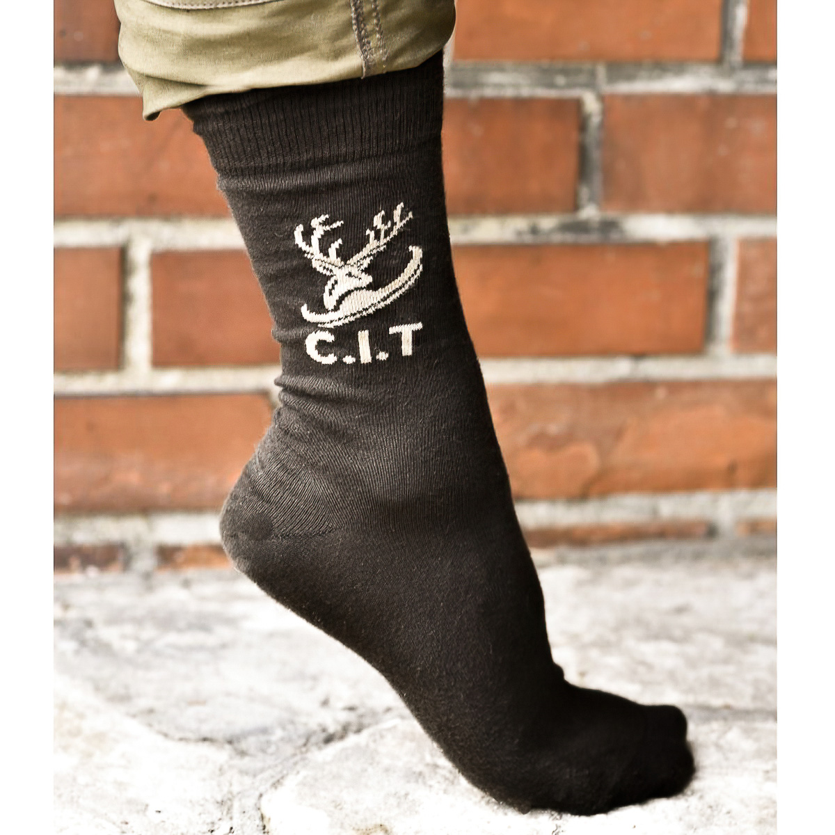 Pánské ponožky C.I.T MYSLIVECKÉ, hnědé, vysoké (více velikostí)